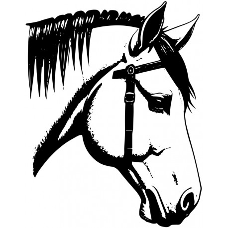 sticker cheval multicolores