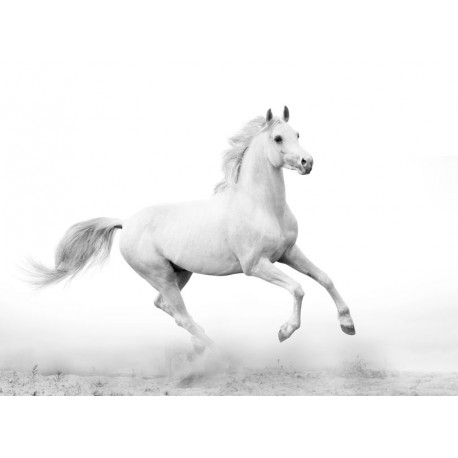 sticker cheval salon