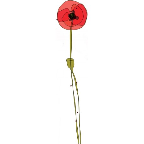 adhesif coquelicot