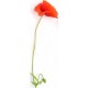 adhesif coquelicot longue tige