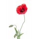 adhesif coquelicot pas cher