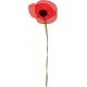 adhesif coquelicots