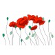adhesif mural coquelicot