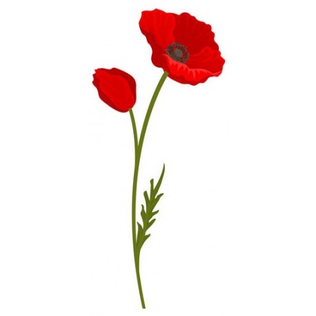 adhesif mural coquelicot champs