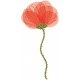 adhesif mural coquelicot decoration