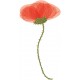 adhesif mural coquelicot decoratif
