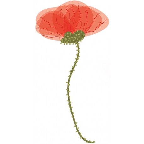 adhesif mural coquelicot decoratif
