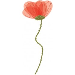 autocollant mural coquelicot salon