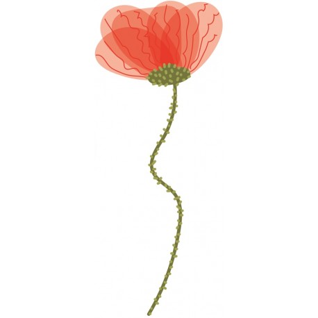 autocollant mural coquelicot salon