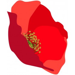 autocollant mural coquelicot tendance