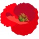 sticker coquelicot