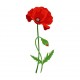 sticker coquelicot chambre