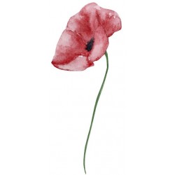 sticker coquelicot cuisine