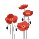sticker coquelicot decoration
