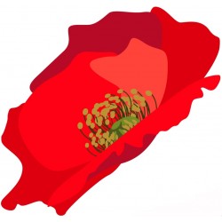 sticker coquelicot decoration