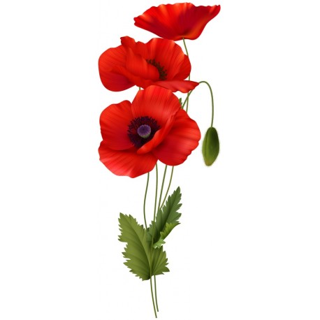 sticker coquelicot pour decorer