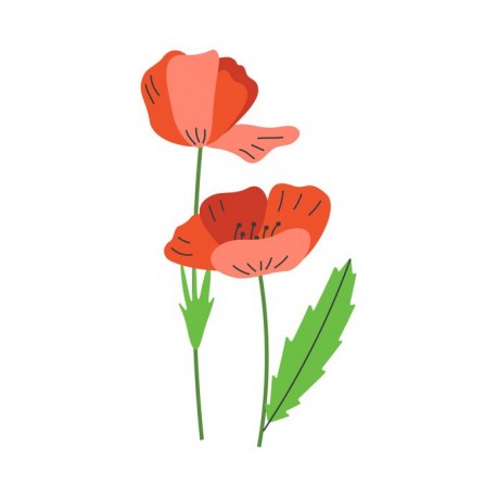 sticker coquelicot pour rouge