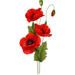 sticker coquelicot deco
