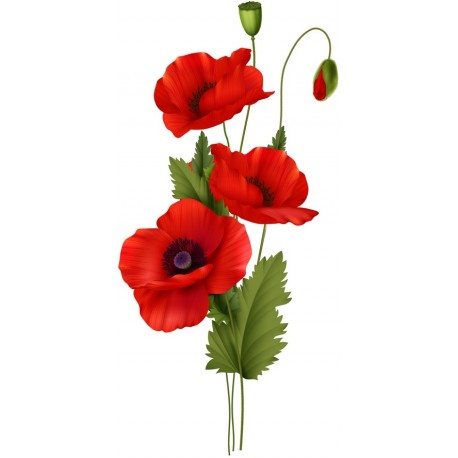 sticker coquelicot deco