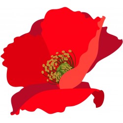 sticker coquelicots decoratif