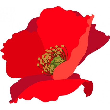 sticker coquelicots decoratif