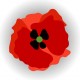 stickers coquelicot fleur