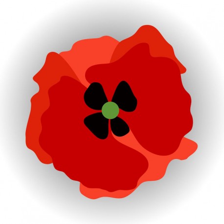 stickers coquelicot fleur