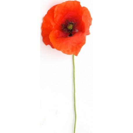 stickers coquelicot pour decorer