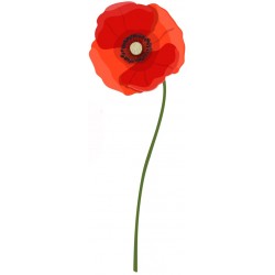 stickers coquelicots vert rouge
