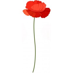 stickers muraux coquelicot
