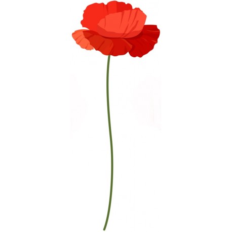 stickers muraux coquelicot