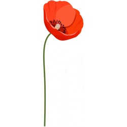 stickers muraux coquelicot champs