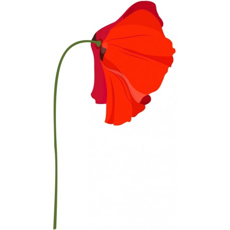 stickers muraux coquelicot deco