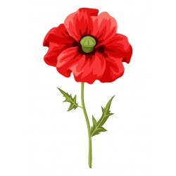 stickers muraux coquelicot geant