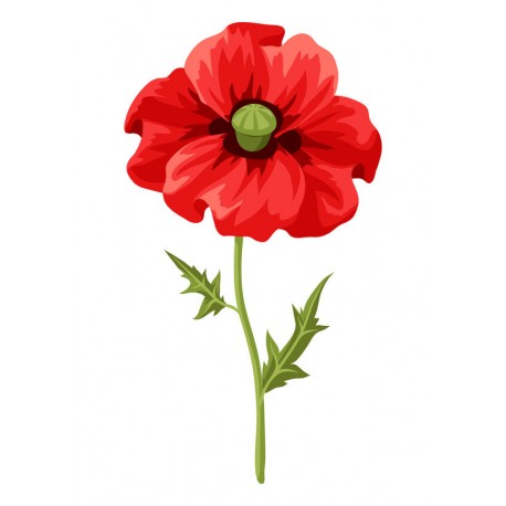 stickers muraux coquelicot geant