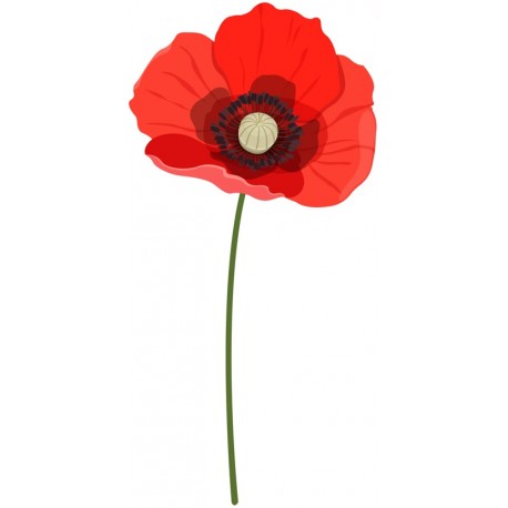 stickers muraux coquelicot salon