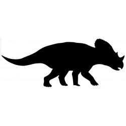 stickers dinosaures chambre