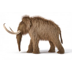 stickers dinosaures pas cher