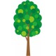 autocollant mural arbre