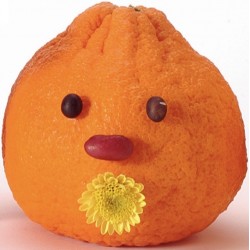 autocollant fruit rigolo citron