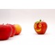 autocollant fruit rigolo pomme poire tomate