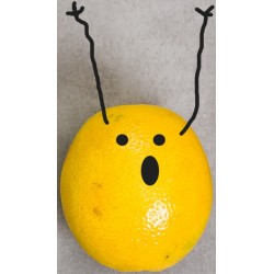 autocollant mural legume rigolo chien