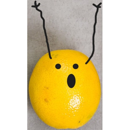 autocollant mural legume rigolo chien