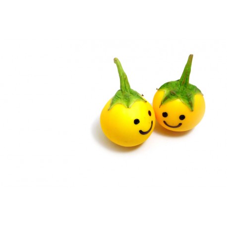 autocollant mural fruit rigolo decoration