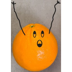 autocollant mural legume rigolo visage