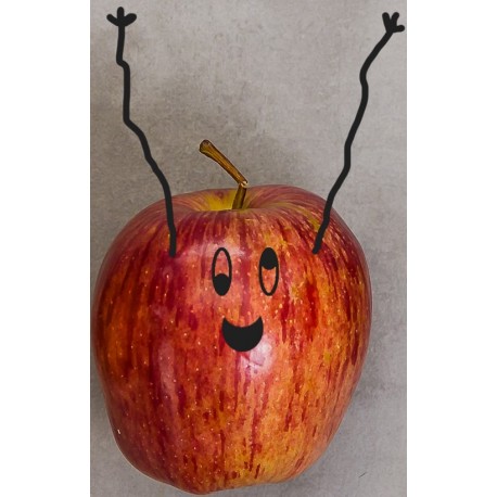 autocollant mural fruit rigolo pince