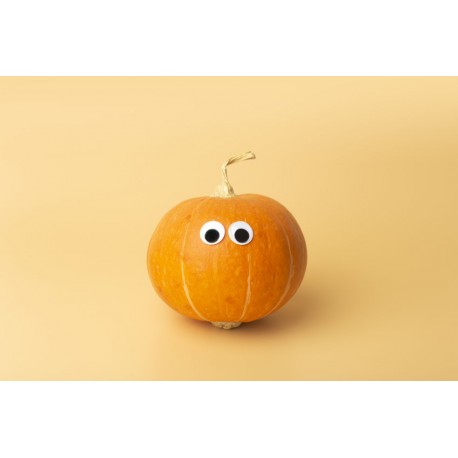 sticker fruit rigolo chien