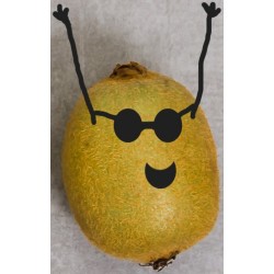 sticker fruit rigolo insecte