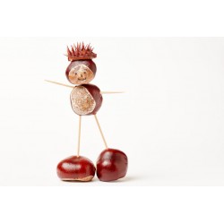 sticker fruit rigolo kiwi