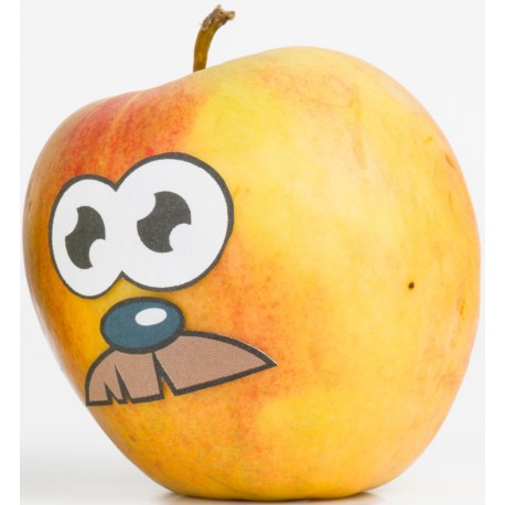 sticker fruit rigolo pomme kiwi